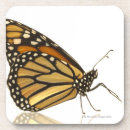 Suche nach monarchfalter untersetzer Natur