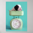 Suche nach tierthemen poster Spaß