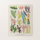 Suche nach riff puzzle Korallen