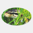 Suche nach python aufkleber Tier