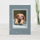 Suche nach ungarisch karten Vizsla