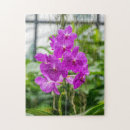 Suche nach rosa orchideen puzzle Natur