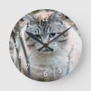 Suche nach wilde katzen wanduhren Fotografie