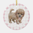 Suche nach pudel alle ornamente Hund