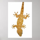 Suche nach greifer poster Tier