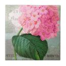 Suche nach redoute fliesen Hydrangea