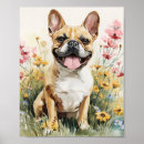 Suche nach bulldog poster Für haustiere