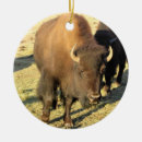 Suche nach bison ornamente Herde