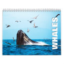 Suche nach wal kalender Tiere