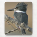 Suche nach sumpfgebiete mousepads Natur