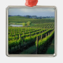 Suche nach weinreben ornamente Weingut