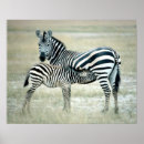 Suche nach tierfamilie poster Im freien