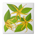 Suche nach aloha fliesen Sommer