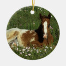 Suche nach appaloosa ornamente Bob langrish
