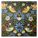 Suche nach bunter vogel fliesen Vögel