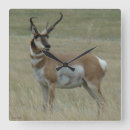 Suche nach hörner wanduhren Jede person