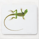Suche nach eidechse mousepads Tier