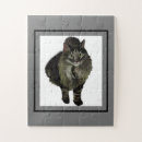 Suche nach maine coon puzzle Katze