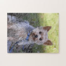Suche nach yorkie puzzle Yorkshire