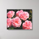 Suche nach rose eingewickelt Bunt