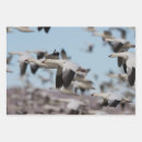 Suche nach aachen poster Bosque del aache