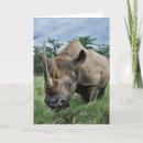 Suche nach rhino karten Kenya