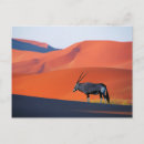Suche nach oryx postkarten Namibia