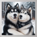 Suche nach huskies poster Hund