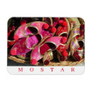 Suche nach mostar magnete Herzegovina