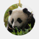 Suche nach vom zoo ornamente Jede person