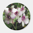 Suche nach orchidee magnete Fotografie