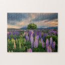Suche nach neuseeland puzzle Lupine