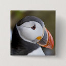 Suche nach seevogel buttons Puffin