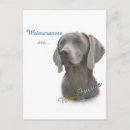 Suche nach weimaraner hund postkarten Rasse