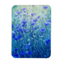 Suche nach kornblumen magnete Wildblumen