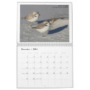 Suche nach vögel kalender Vogelbeobachtung