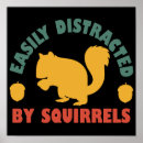 Suche nach lustiges eichhörnchen poster Eichhörnchenliebhaber
