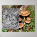Suche nach unter pilze poster Für sie