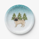 Suche nach pug andere Jede person