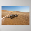 Suche nach namibia poster Wüste