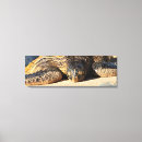 Suche nach honu kunst Insel