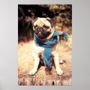 Suche nach niedlicher mops poster Jede person