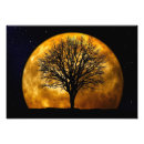 Suche nach atmosphäre poster Mond