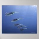 Suche nach teamwork poster Blau