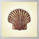 Suche nach austern muschel poster Strand