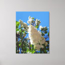 Suche nach lila himmel leinwandbilder Blume