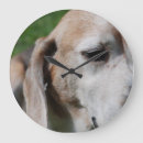 Suche nach senior wanduhren Hunde