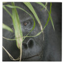 Suche nach lebensraum fliesen Wildtiere