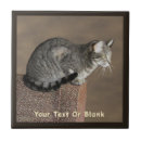 Suche nach graue katze fliesen Tiere