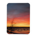 Suche nach rosa eis magnete Blau